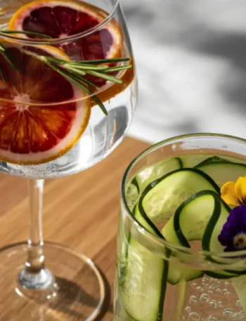 Gin Tônica servido em taça de balão com fatias de pepino e especiarias, o ápice do frescor.